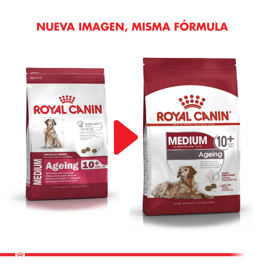 Royal Canin alimento seco para perro adulto Medium Ageing 10+ 15KG, , large image number null